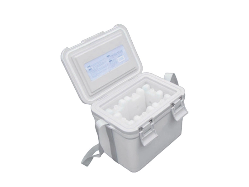 Ice bhokisi